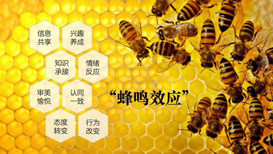 9种方法，让B2B的内容流行起来