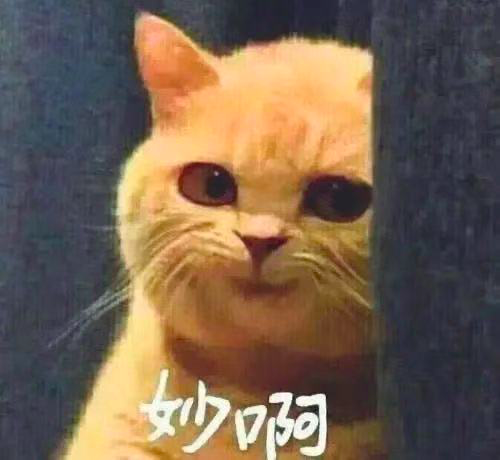聪明的品牌，会社交