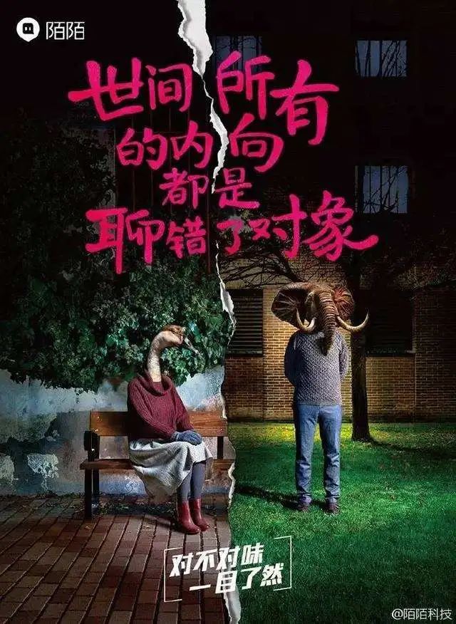 台词即文案，美翻了