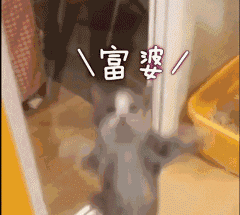 凡尔赛文学大师的自我修养