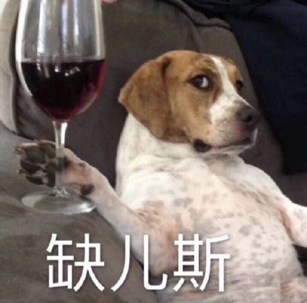 反向凡尔赛文案，笑死我啦哈哈哈