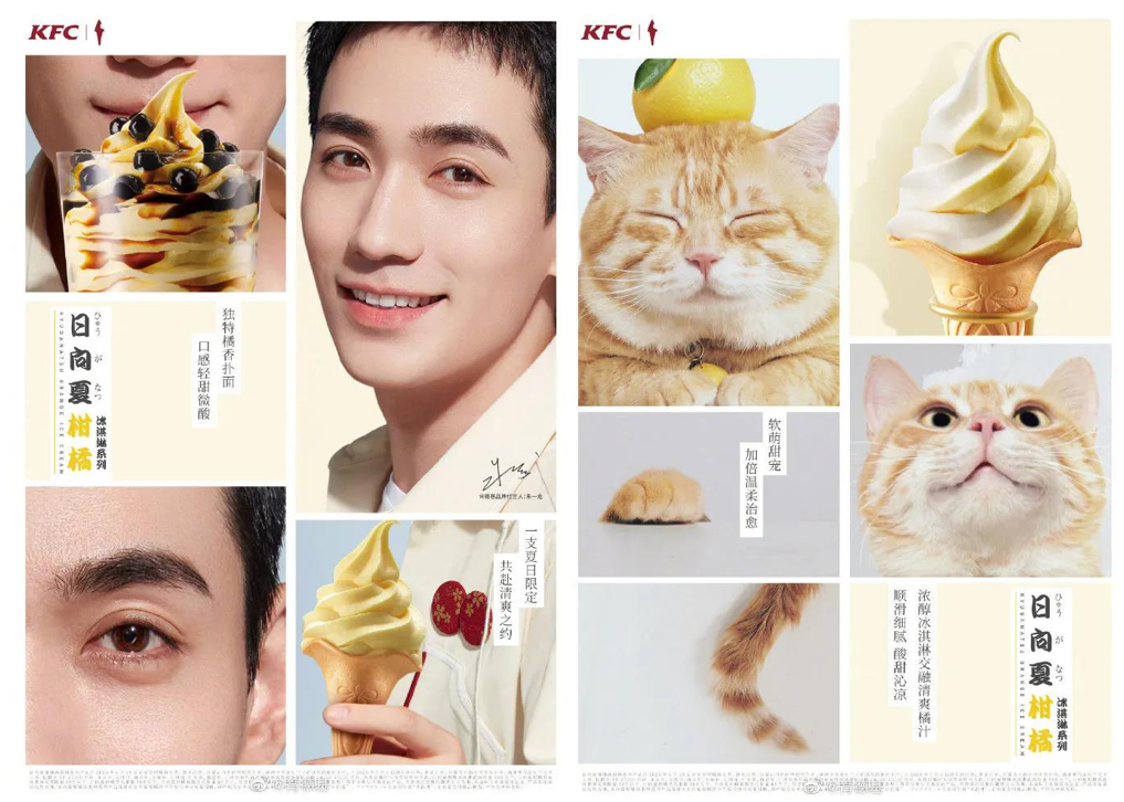 奈雪的茶开了家猫店,萌宠营销到底是怎么火起来的!