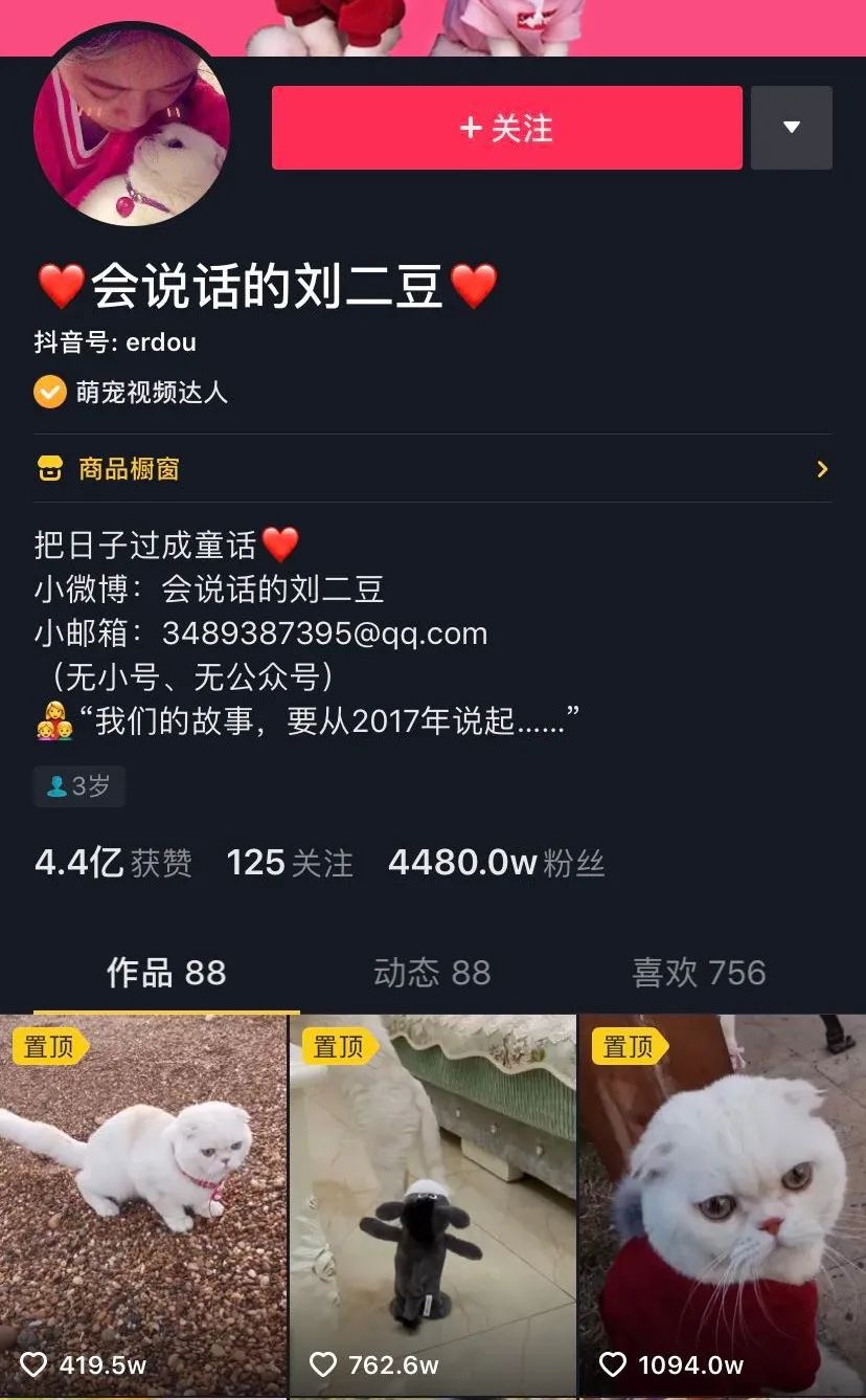 奈雪的茶开了家猫店,萌宠营销到底是怎么火起来的!