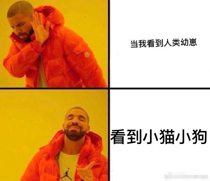 奈雪的茶开了家猫店,萌宠营销到底是怎么火起来的!