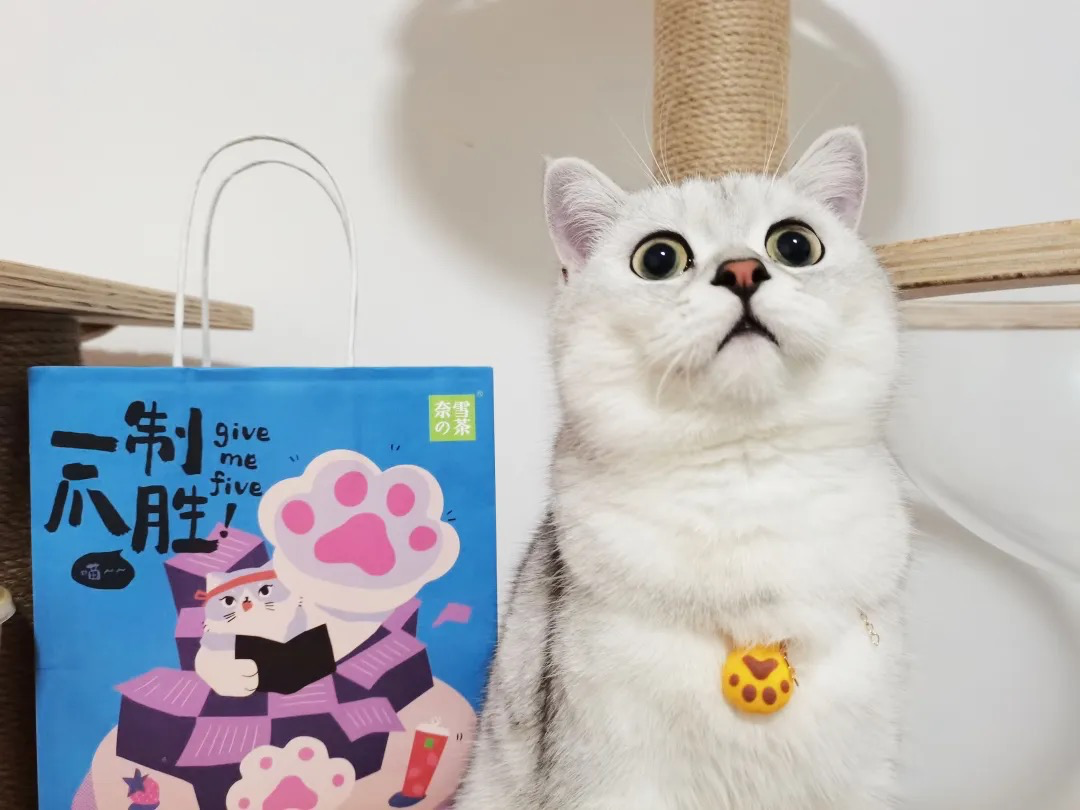 奈雪的茶开了家猫店,萌宠营销到底是怎么火起来的!