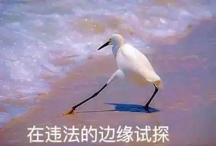 腾讯，被罚了20万！