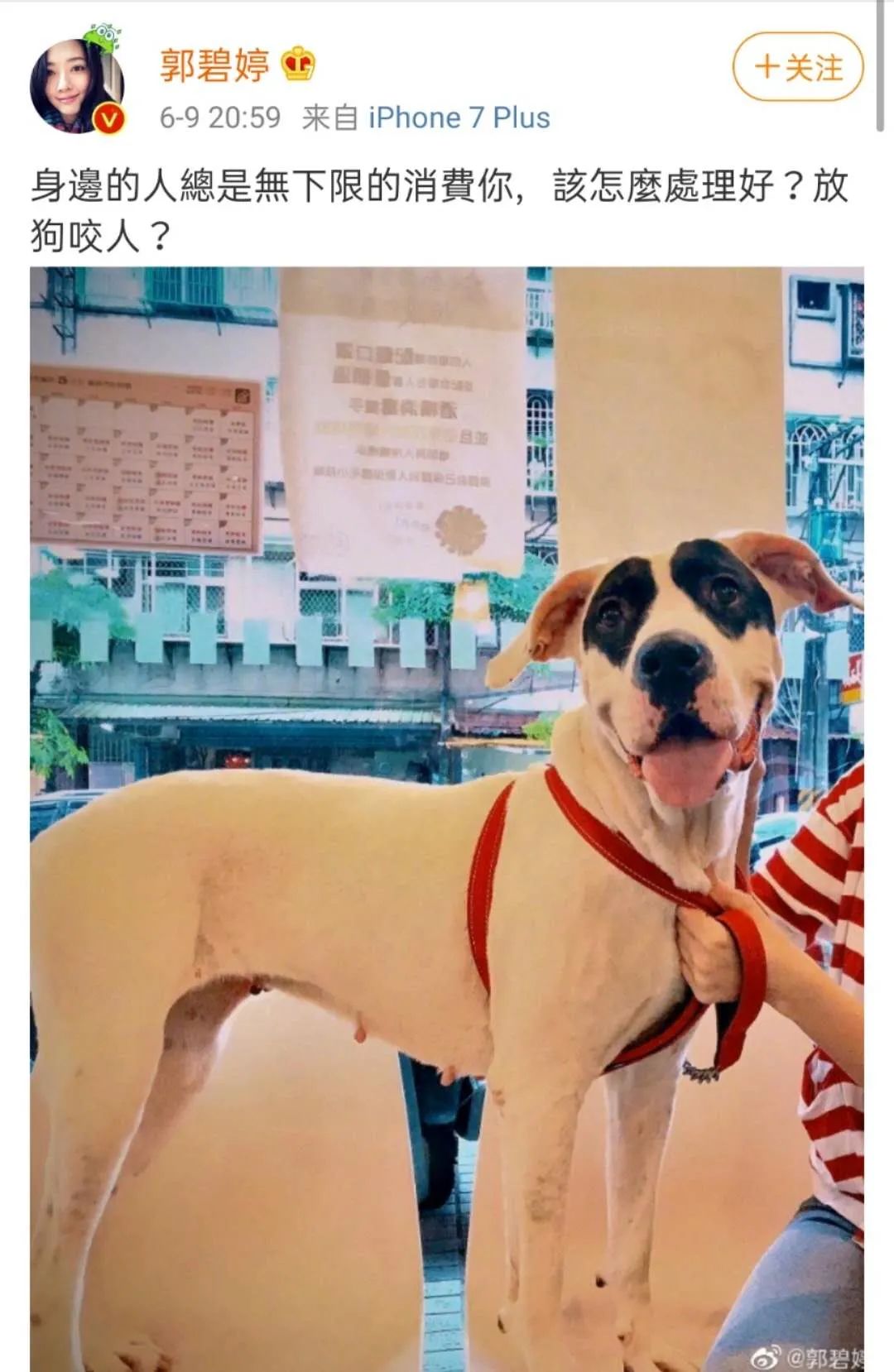 向太是不是扛了全家的营销KPI?!