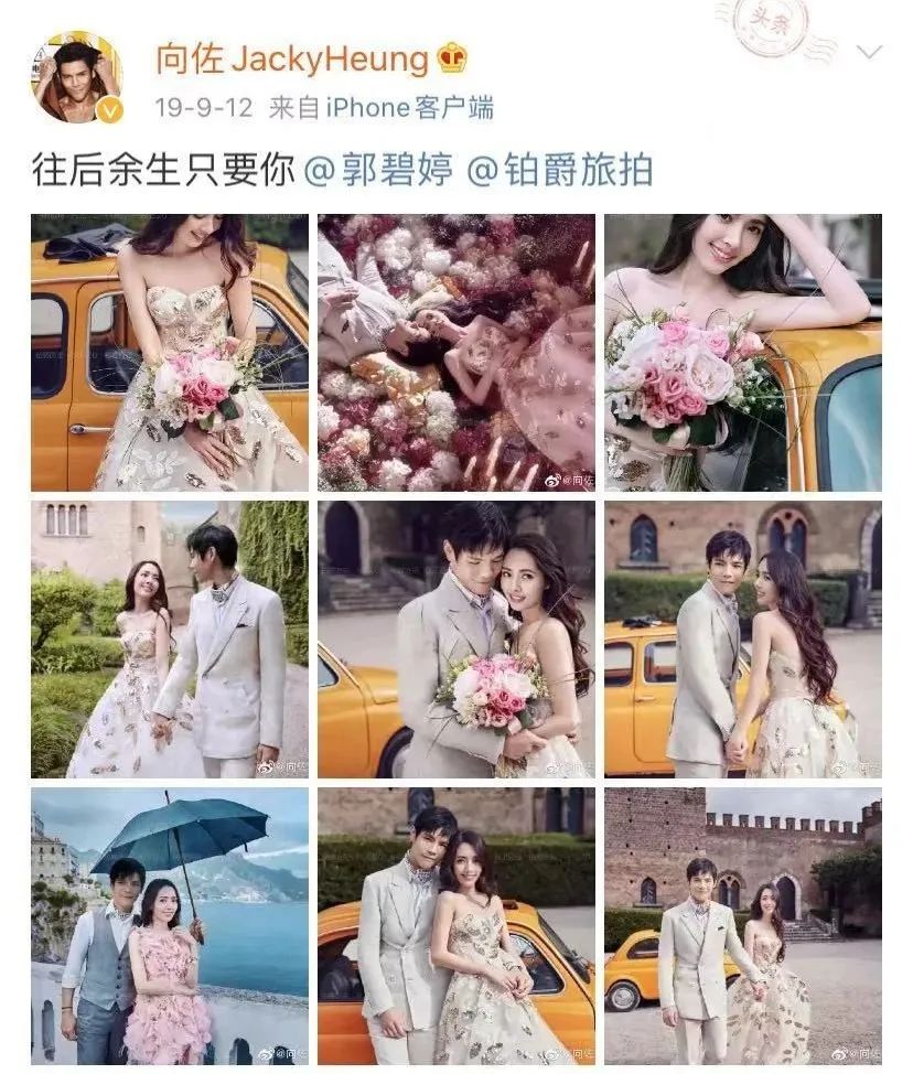 向太是不是扛了全家的营销KPI?!