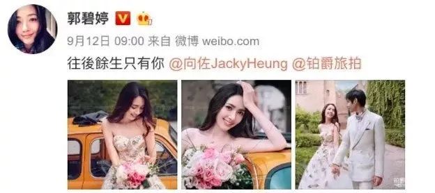 向太是不是扛了全家的营销KPI?!