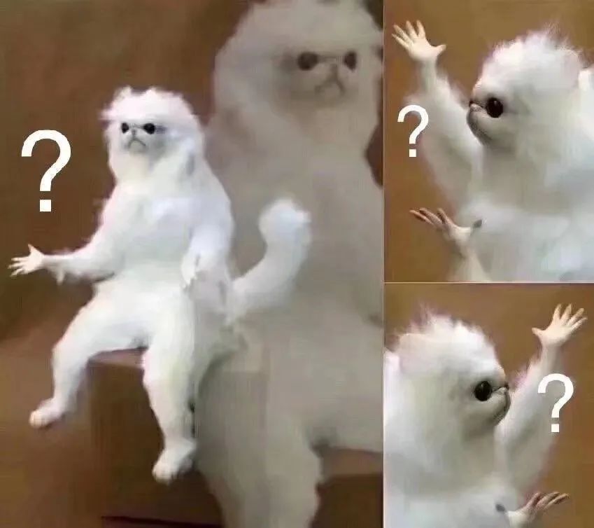 向太是不是扛了全家的营销KPI?!