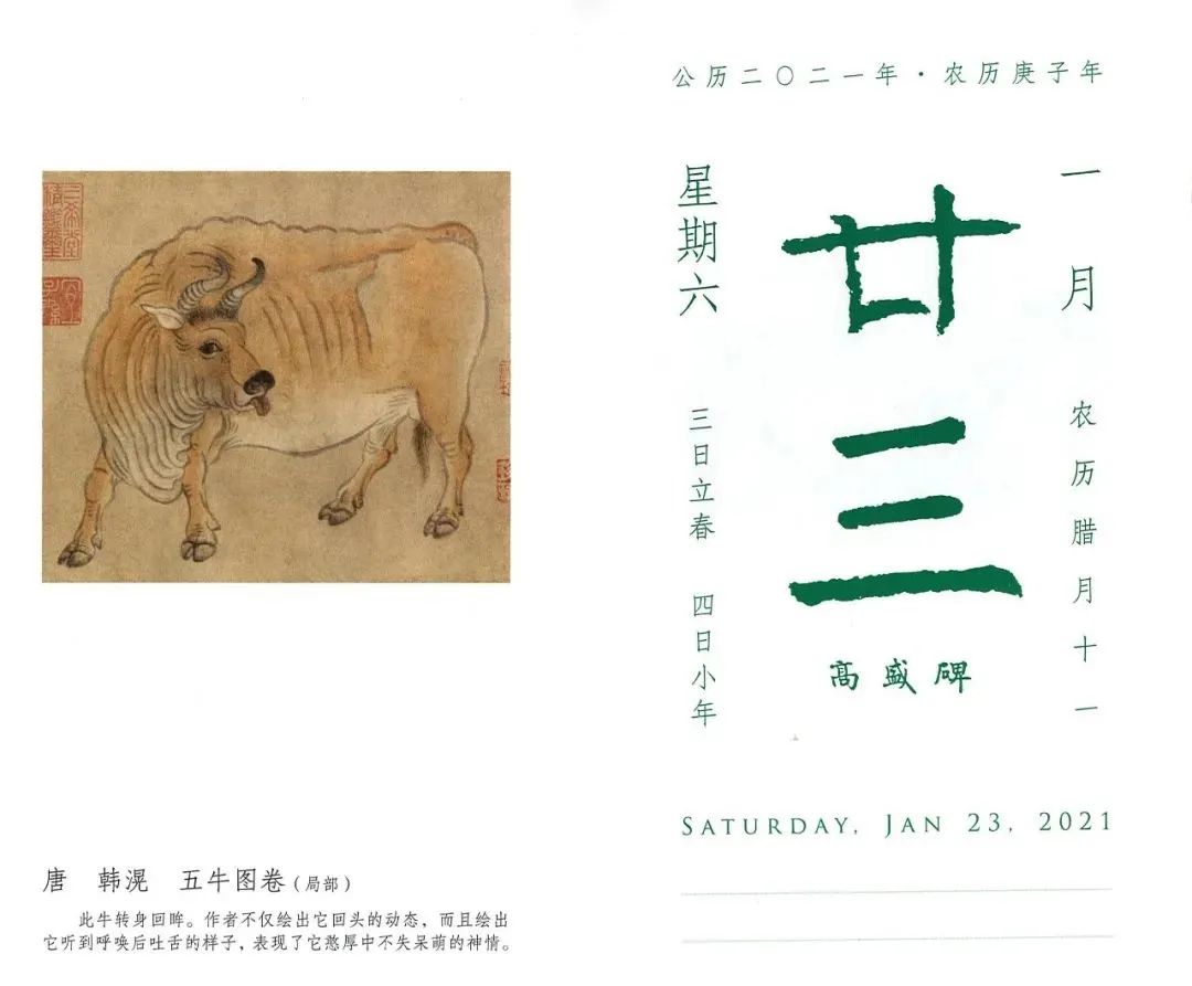 2021年高赞日历，神仙颜值我爱了！