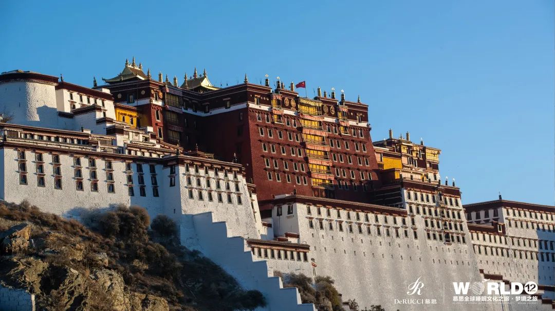这家睡眠旅行公司，一年只营业一次