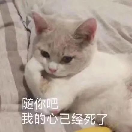 浑水对YY的做空，和瑞幸造假不同