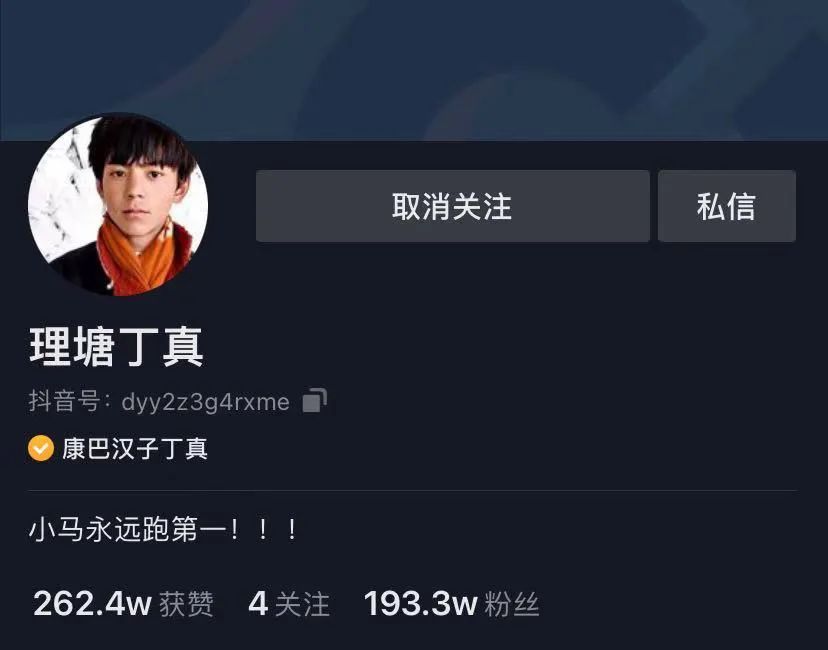一天涨粉200万，丁真为什么火出圈？
