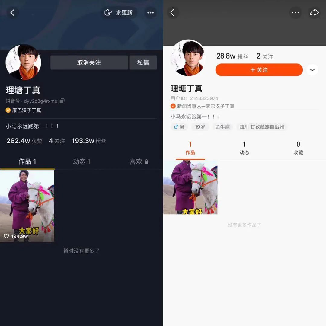一天涨粉200万，丁真为什么火出圈？