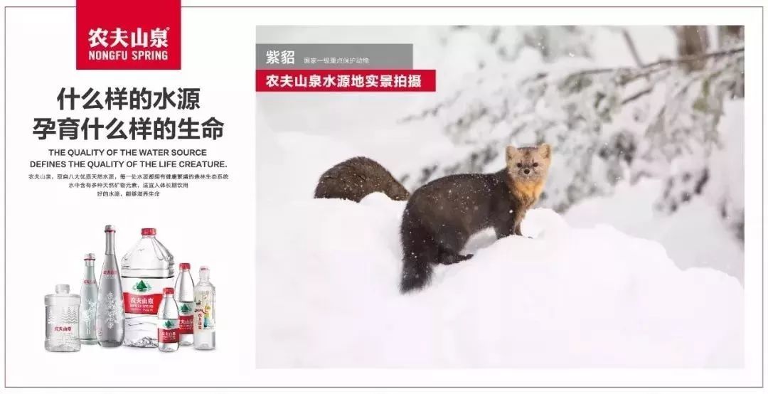 建立品牌要跟三得利乌龙茶学学
