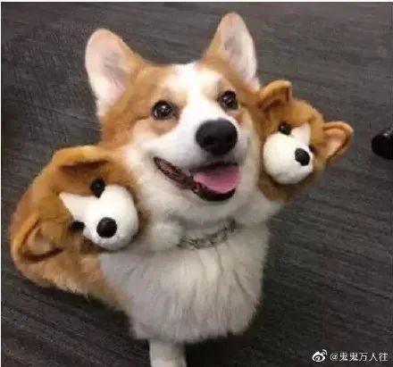 “不包二奶”后，Burberry又来作妖了！