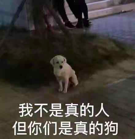 惊了！广告界一哥奥美，开走骗稿路？