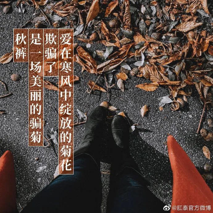肛泰的微博文案，也太好玩了哈哈哈哈哈