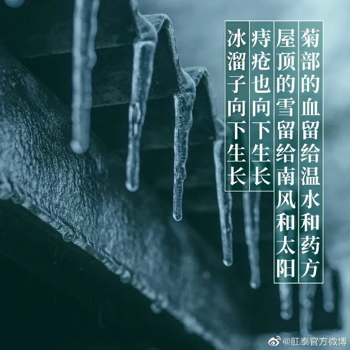 肛泰的微博文案，也太好玩了哈哈哈哈哈