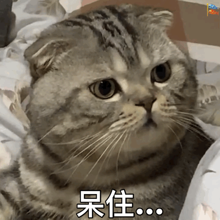 被B站按头打的D站，凉了！