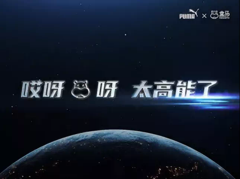 11月营销案例精选：盒马撞彪马 宝马入B站 C罗喊老铁...
