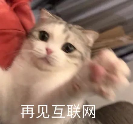 拼多多的迷惑操作？看傻了