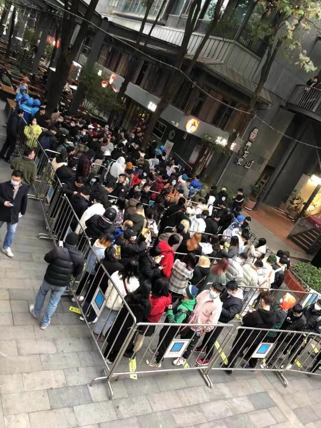 茶颜悦色武汉店，1杯排队8小时，值么？