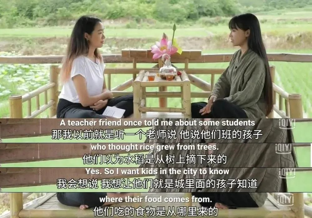 揭秘丁真成顶流网红的营销逻辑！