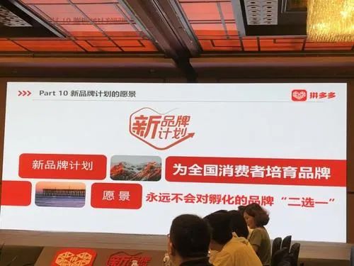 IP⁺品牌内参：马化腾、淘宝、拼多多……