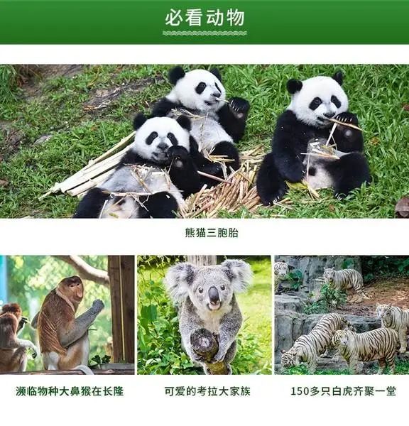 长隆野生动物园的品牌调性看上去就是：变态