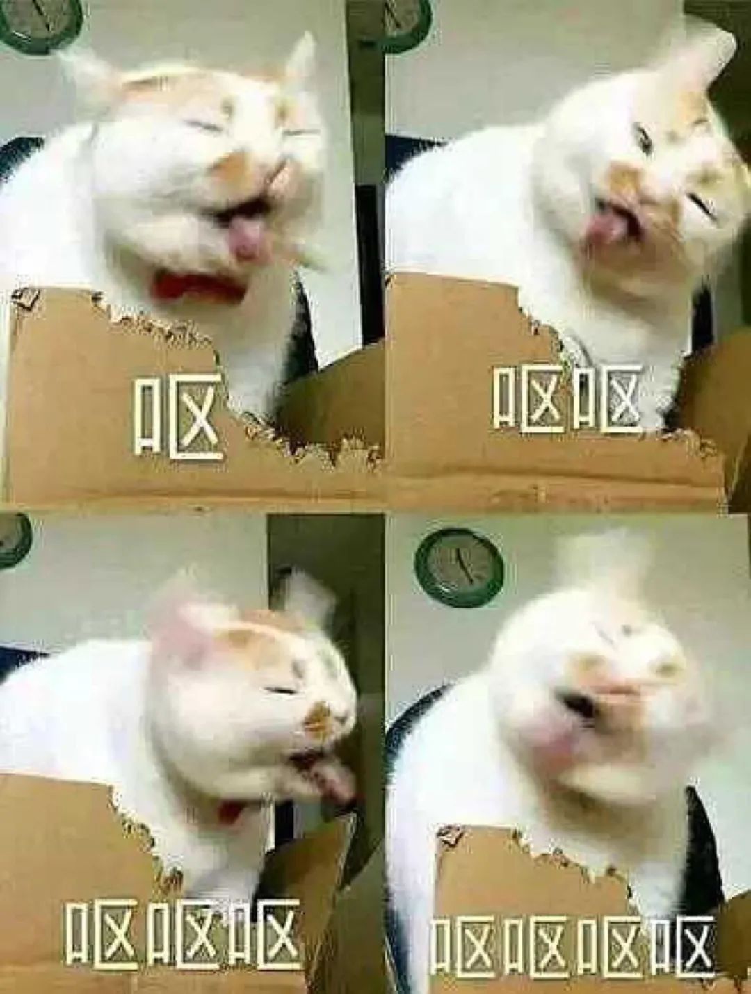 淘宝丑东西大赛，年度奇葩评选！