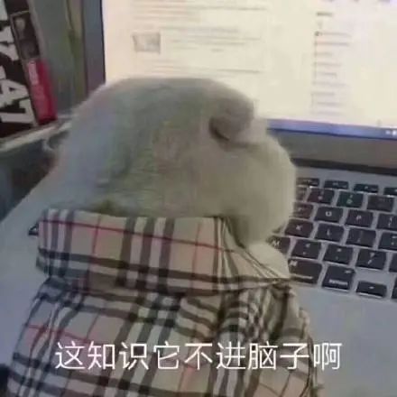 盲盒不是潮玩，只是赌博！