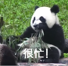 《如果国宝会说话》，文案好绝