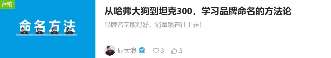 从哈弗大狗到坦克300，学习品牌命名的方法论