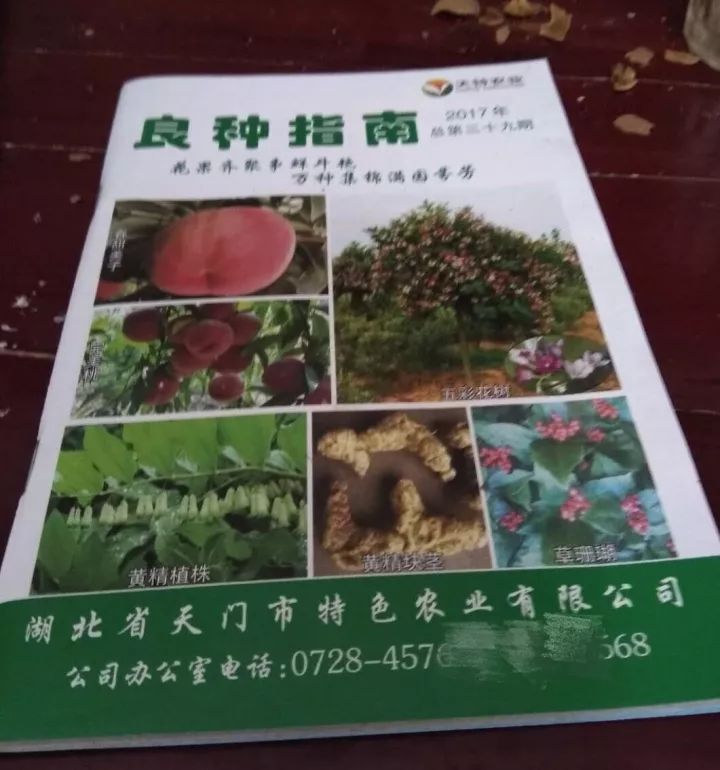 在不可描述的网站上打广告是一种神马体验？