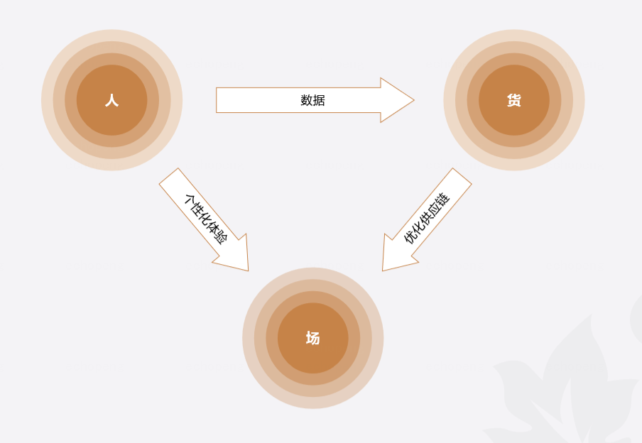 国货成功出圈，为什么他们成为家庭必备？