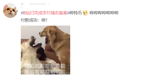 B站，入局金融行业了