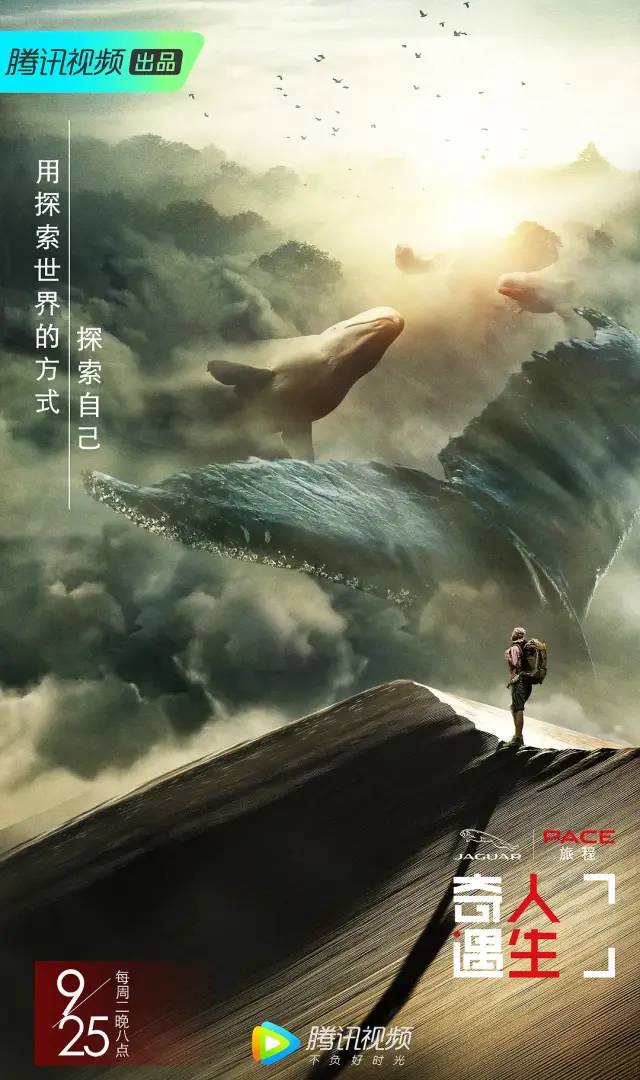 综艺，真是一台金句制造机！