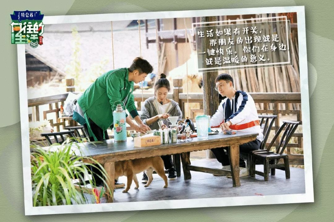 综艺，真是一台金句制造机！