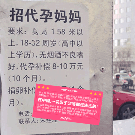 “反代孕行动”，这个小众品牌是怎么做的？