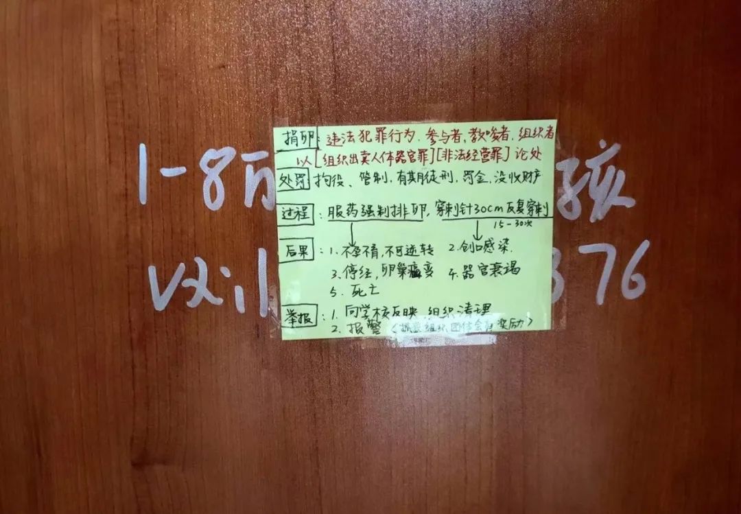 “反代孕行动”，这个小众品牌是怎么做的？