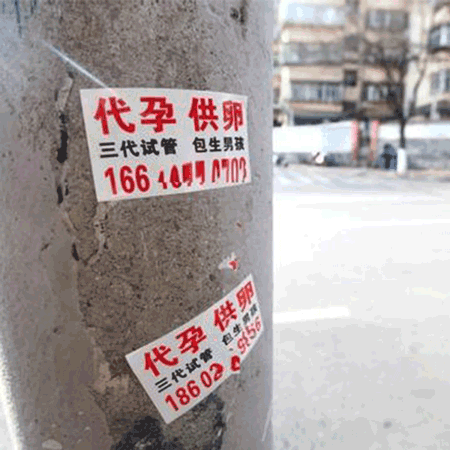 “反代孕行动”，这个小众品牌是怎么做的？