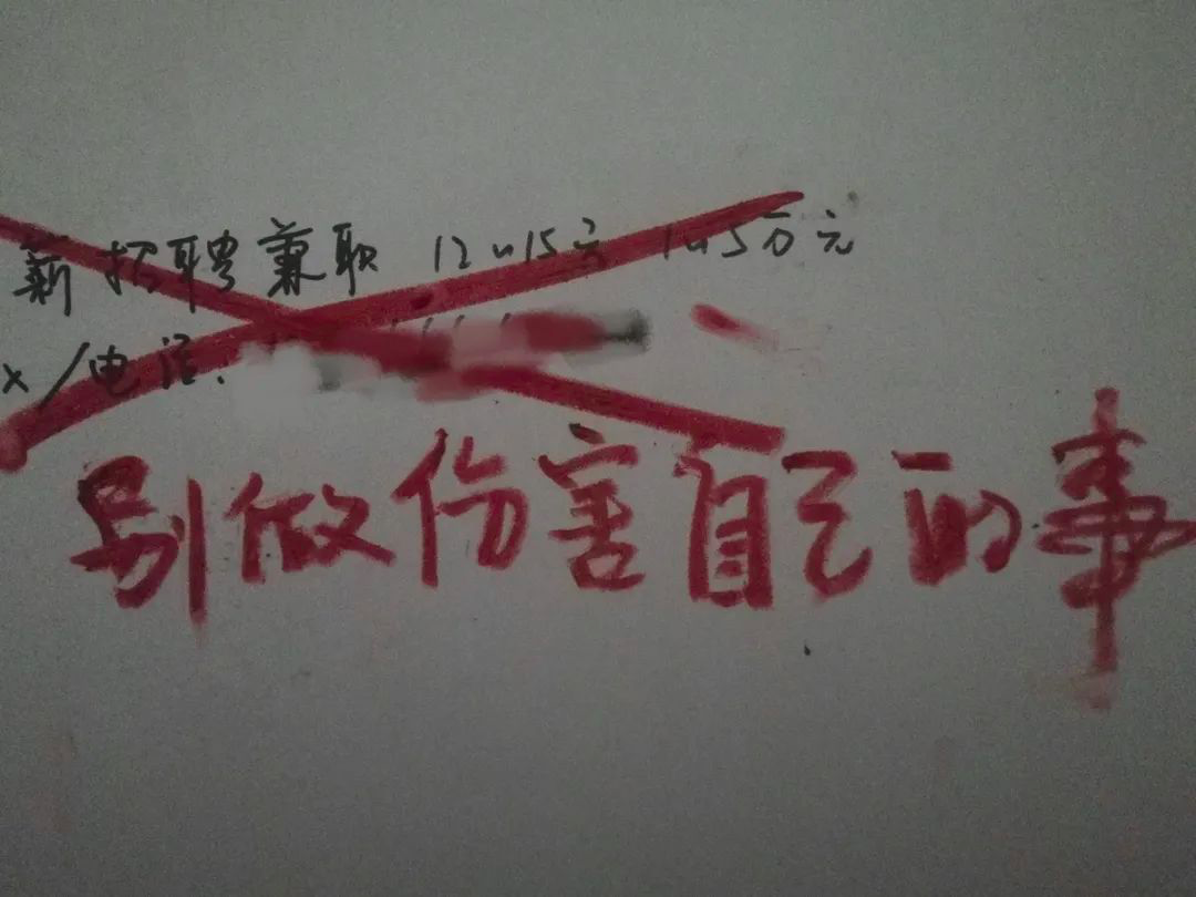 “反代孕行动”，这个小众品牌是怎么做的？