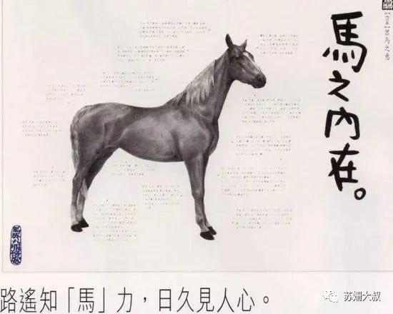 华文广告四教父的黄金时代