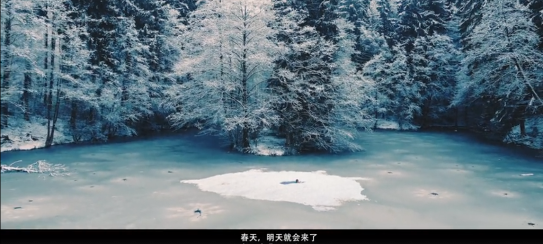30句立春海报文案，不负好春光！