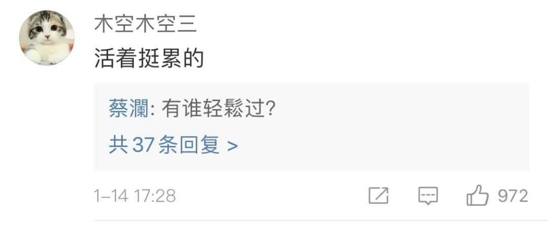 蔡澜的回复文案，又毒舌，又舒适