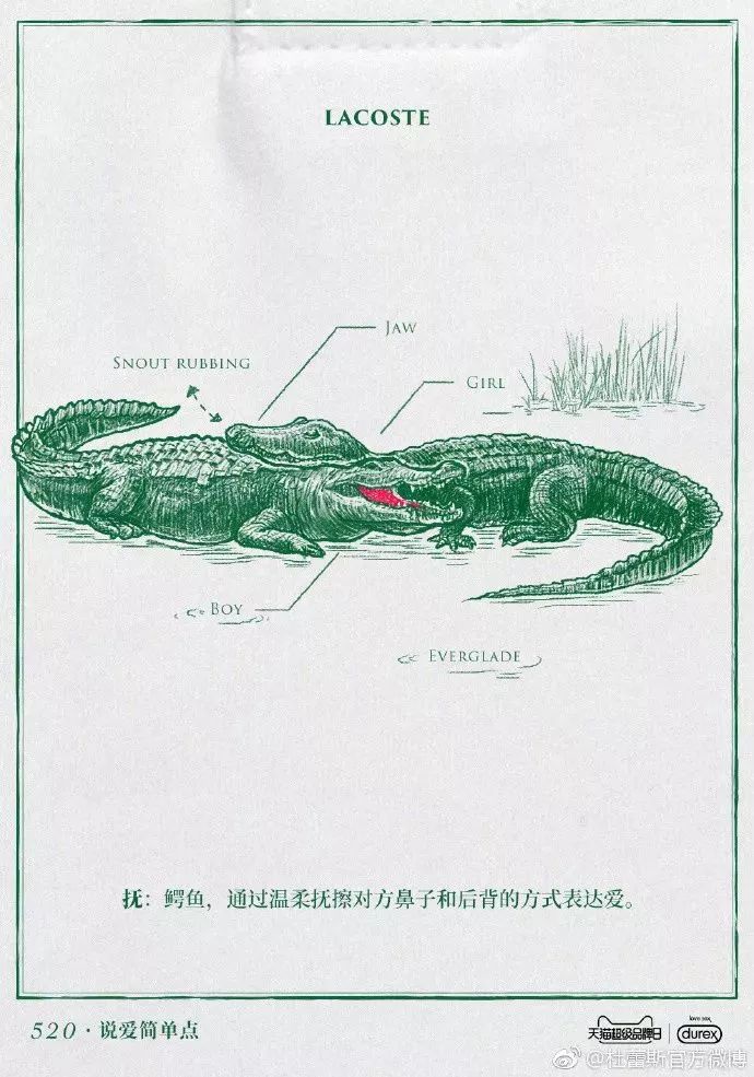今年情人节，杜蕾斯重回神坛？一加翻车？