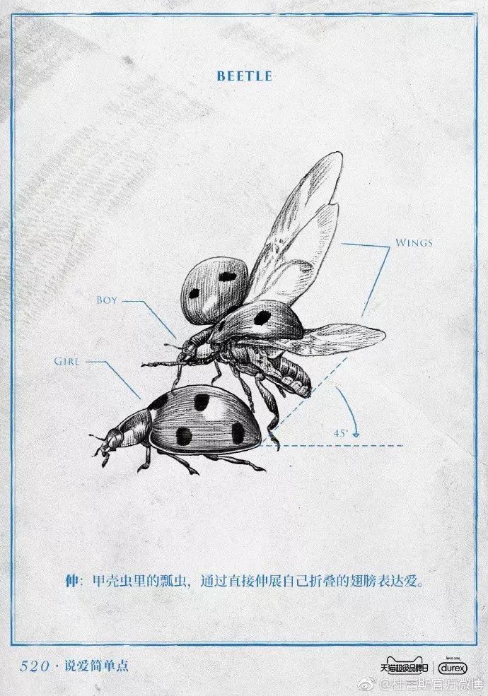 今年情人节，杜蕾斯重回神坛？一加翻车？