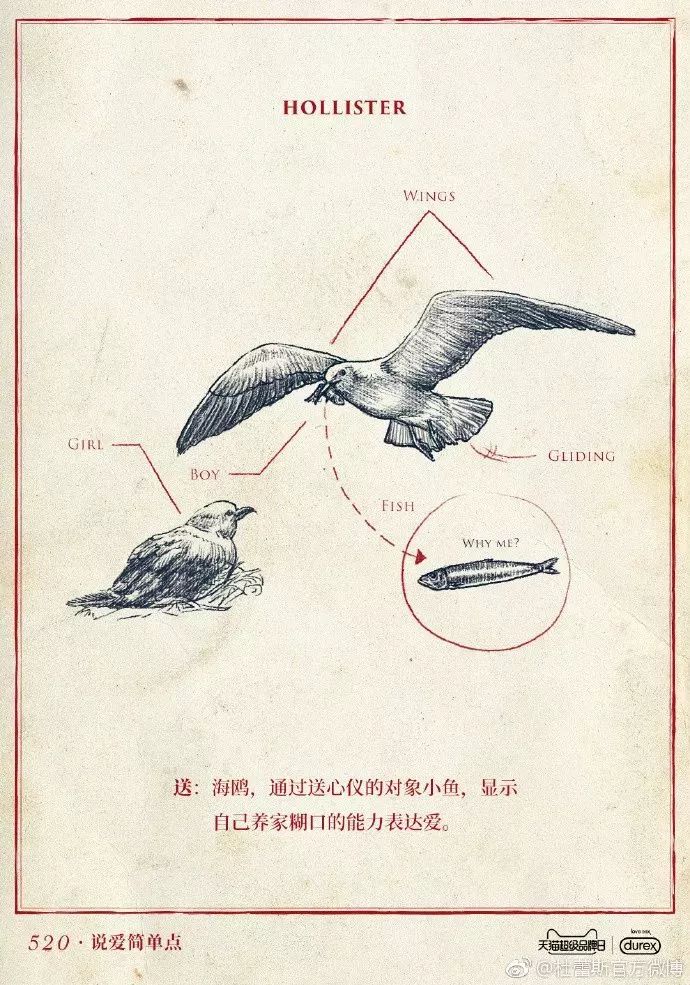 今年情人节，杜蕾斯重回神坛？一加翻车？